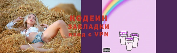 прущие грибы Ладушкин