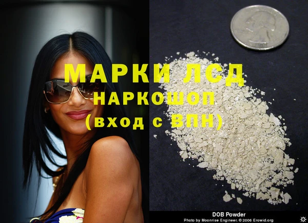 spice Аркадак